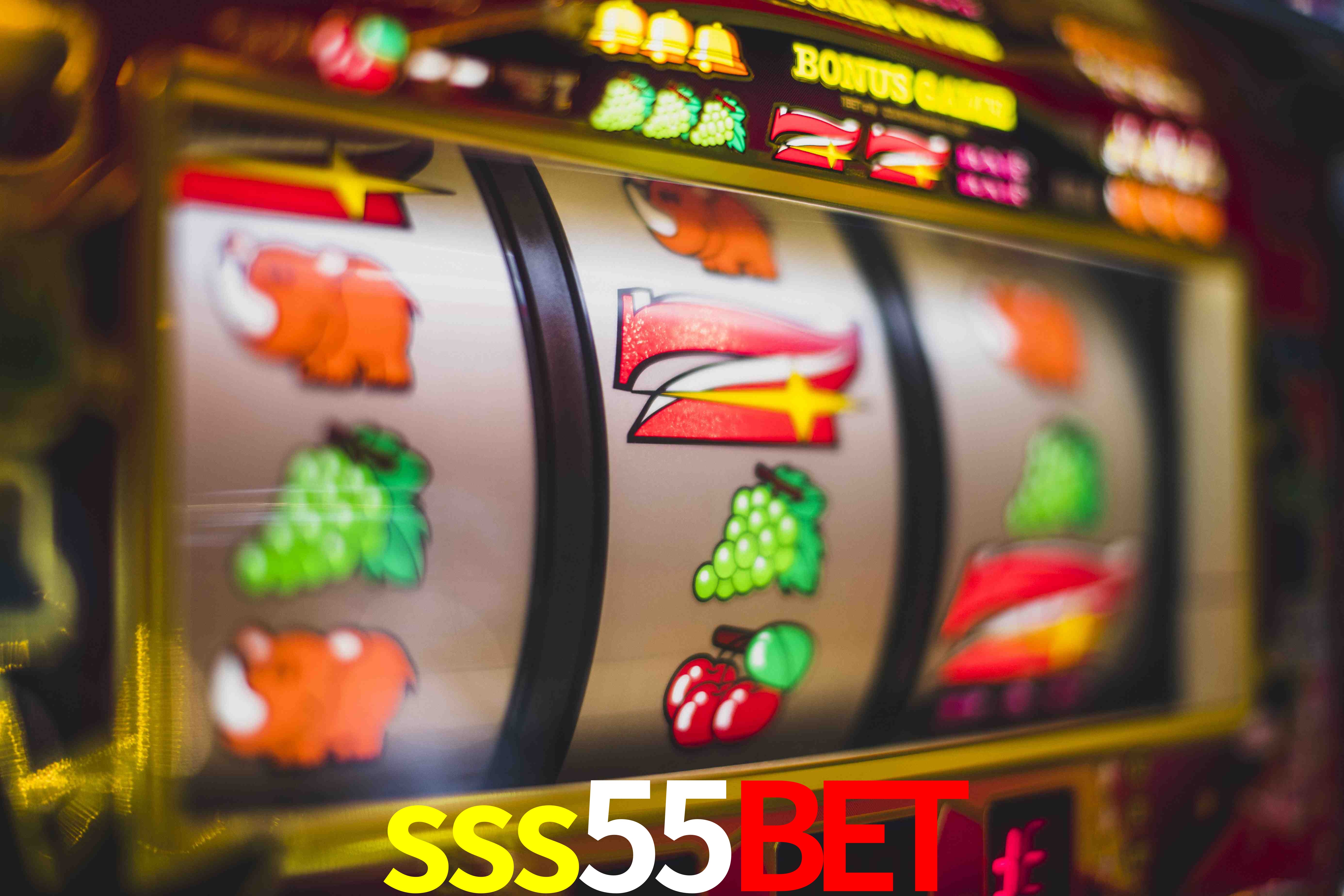 Basketball Betting sss55bet